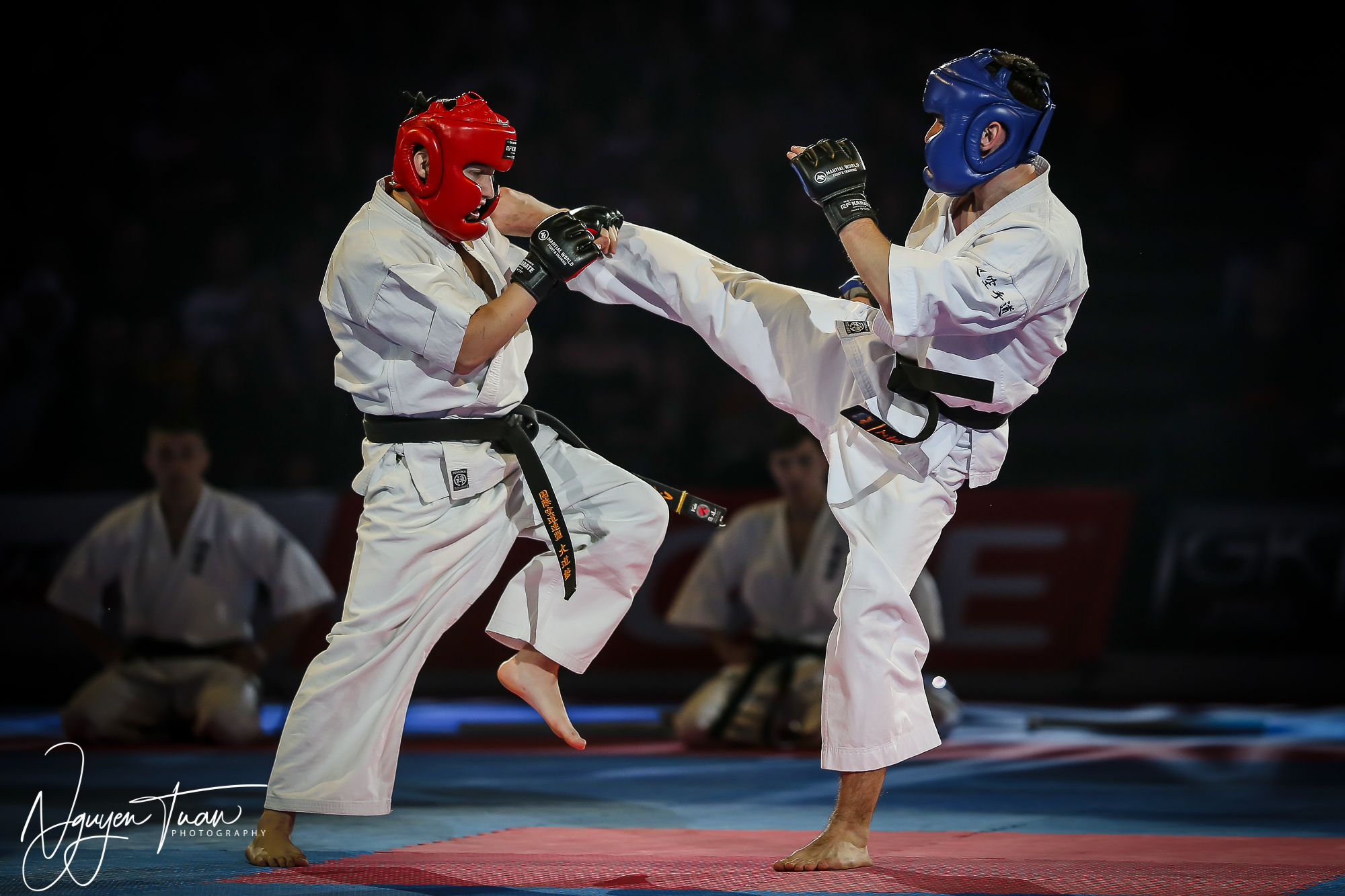 20190324 Festival des Arts Martiaux 3264